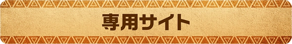 専用サイト